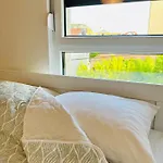 Oasis *